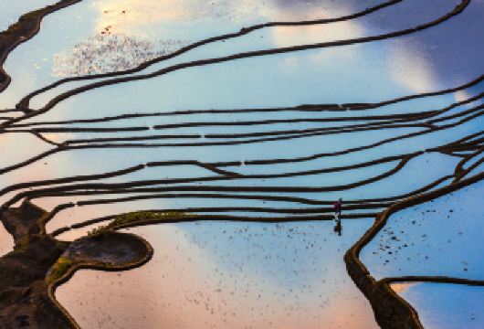 元阳哈尼梯田+阿者科+多依树+爱春蓝色梯田+坝达+老虎嘴【一单一团|用车随心自由】