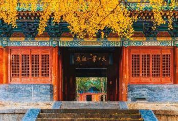 洛阳出发嵩山少林寺+武术馆+塔林|金牌导游|纯玩一日游【[高性价比]专注河南地接线路25余年。优选商家，天天发团，不进购物店，只做纯玩高品质！】