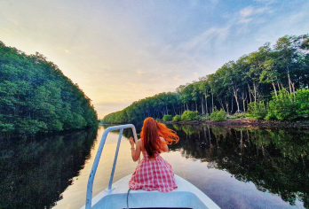 亚庇皇加湾红树林+萤火虫+梦幻海滩一日游【含接送+晚餐】【日落后出发参加萤火虫之旅，欣赏像星星一样在红树林树木上闪耀的大群萤火虫】