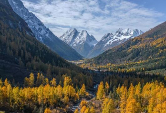 成都往返四姑娘山双桥沟一日游（雪山群峰+云端秘境+往返交通)【集雪山、草甸、湖泊、原始森林于一体，三段景观各有特色，一日可览川西地貌精华，随手拍出自然大片】