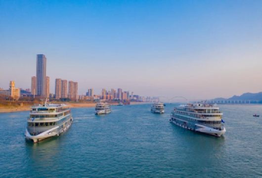 交运两坝一峡游船+三峡大坝一日活动【船过葛洲坝船闸 游西陵峡】【[品质纯玩]全程无购物，可体验船过葛洲坝船闸，赏西陵峡风光，游三峡大坝。】