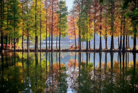 私家小团上门接送|佛山祖庙+醒狮表演+岭南天地+西樵山一日游【私家旅行：一单一团，不拼客，专属旅行； 品质服务：5座/7座车上门接送，专职司机护航】