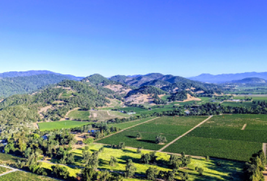 美国旧金山-纳帕谷-酒乡微醺-时光正好【中文专车-悦享旅程】【上市旅行社，实力雄厚，服务规范可靠，为您带来更安心、更优质的服务体验。】