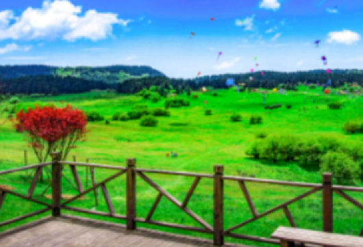 【2-8人团】重庆武隆天生三桥仙女山乌江小渡含车门票一日游【● 纯玩品质团，全程不进购物店无任何强制消费】