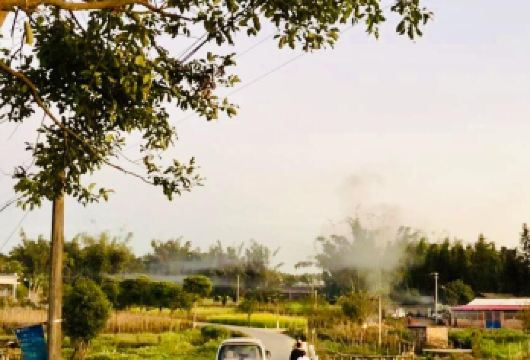 《西双版纳基诺山雨林徒步+万亩茶园文化体验一日游》【中文司机+10小时VIP小团服务】