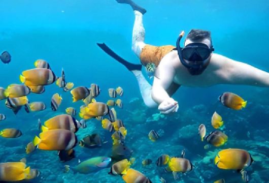 蓝梦岛浮潜探险：含Manta Bay等3个潜点，可选酒店接送【在世界著名的Manta Bay近距离邂逅优雅的魔鬼鱼 潜入色彩斑斓的珊瑚礁与清澈见底的海水，尽享**潜水胜地 享受便捷的酒店接送服务、专业当地导游以及全套装备提供——您只需到场即可开启浮潜之旅！】