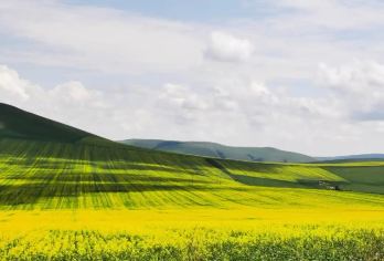 海拉尔+黑山头+海拉尔一日往返 【独立成团 一对一服务】【一单一团 独立定制】