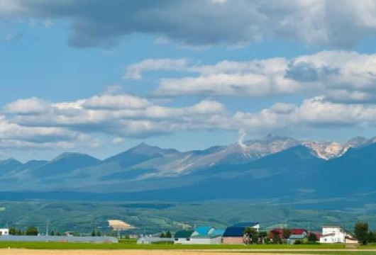 日本北海道富田农场+青池一日游/行程可调-可定制多日游【精选热门景点，高效游玩不走回头路，深度了解文化内涵，贴心服务保障，轻松享受旅程，性价比超高的旅行。】