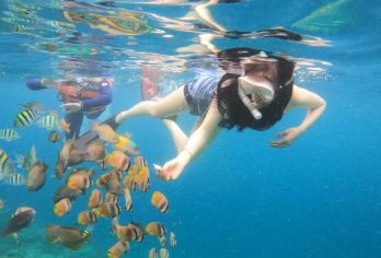 广东汕尾红海湾】浮潜+赶海+浆板冲浪+淡水冲洗（多套餐可选）【水质清澈，近岸浅水区能见度可达5-8米以上（天气晴好时），阳光直射海底，形成“果冻海”】