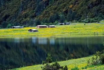 香格里拉+无底湖一日游【可选8/10人小团/苔藓森林休闲线】【[缤纷景点]无底湖+木桥入口+苔藓森林+豁然开朗点+无忧树+牛羊牧区，带您玩转秘境无底湖！】