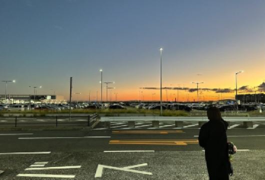 日本札幌+北海道厅旧本厅舍+薄野一日游/行程可调-可定制多日【包车一日游，解锁旅行新方式！独立车辆配备经验丰富的老司机，为您量身打造专属行程。】