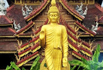 99%游客！1日玩转版纳小众宝藏：基诺山徒步+傣村手作【真正的深度沉浸体验：在基诺山由本地人带领解读雨林密码，在曼掌村与非遗传承人面对面学习】