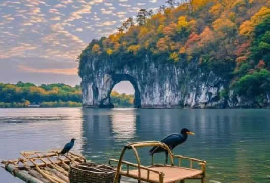 桂林市区逛吃桂林米粉+象鼻山+桂海秦岚【新车+全职司机向导 = 双倍安全与便利。 告别外包拼车，我们以自营的全新车队和全职司机（兼向导）】