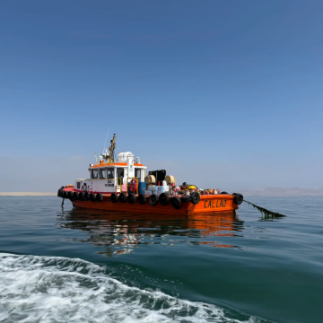 秘鲁鸟岛、滑沙一日游+鸟岛游船+瓦卡奇纳沙漠滑沙+中文导游