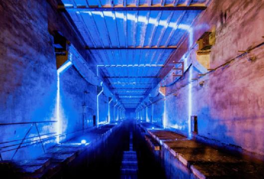 重庆白鹤梁水下博物馆+816工程一日游 8人内纯玩小团上门接【纯玩无购物，商圈酒店上门接，不用自行前往集合】