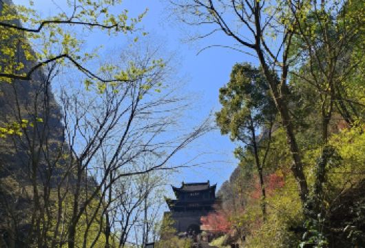 广元剑门关+翠云廊+昭化古城直通车一日游《纯玩无购物》【登剑门雄关 品三国故事】