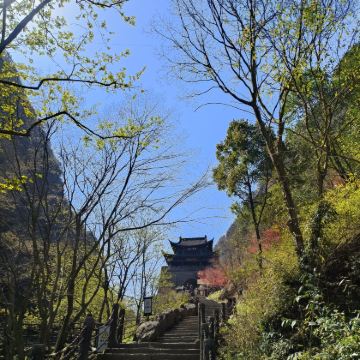 【剑·昭景区官方直通车】剑门关翠云廊昭化古城一日游*市区接送