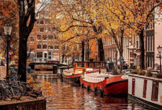 荷兰阿姆斯特丹运河+艾伯特市场+梵高博物馆【中文纯净包车】【专属私密，一家一团，尽享自在旅途。】