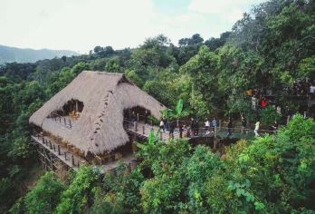 野象谷+曼远村一日游【景洪市区接送+精致6人小团+寻找野象】【[优良资质]市区酒店上门接送，慢旅行，轻奢纯玩，精品小团，真纯玩无购物，尽情畅游；】