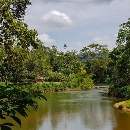 斯里兰卡美蕊沙辛哈拉加森林保护区一日游