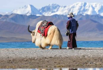 纳木措一日游【扎西半岛-可选普通团+领队团+小车团】【郑重承诺：行程中若有任何不满，您可以24小时向我们反馈，随时给您解决！】
