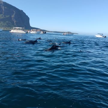 毛里求斯快艇追海豚+天涯海角+大浪湾+自然桥 一日游