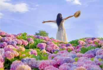 西山风景名胜区+海埂公园+官渡古镇+斗南花市+海埂大坝一日游【[匠心品质]二环上门接送，匠心品质 ，安心出游，产品保障；】