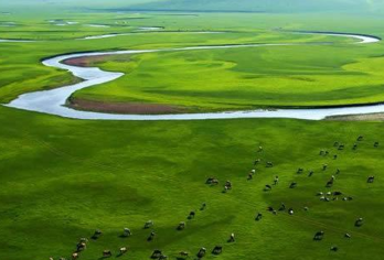 草原+一塔两寺+莫尔格勒河+古城+广场一日游【打卡广袤草原、神圣一塔两寺、邂逅莫日格勒河，漫步古城，领略呼伦贝尔的文化底蕴！】