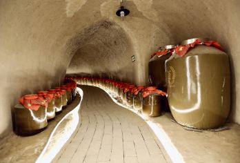 私人团中国传统窑洞文化+功夫+汉阳陵中/英文导游一日游【特色中国传统窑洞文化+红拳发源地】