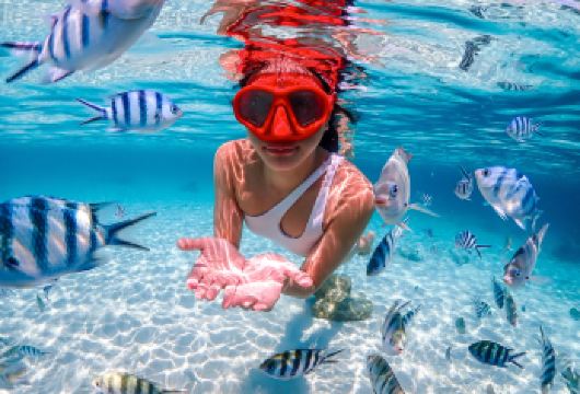 新年特惠-芭堤雅萨美山岛一日游|浮潜|中英导游|曼谷&芭堤雅【优选萨美山优质浮潜点，浮潜时与热带鱼群亲密互动，观察鱼类和珊瑚礁的多样性】
