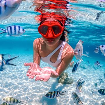 芭堤雅萨美山岛一日游|浮潜|中英导游|曼谷&芭堤雅