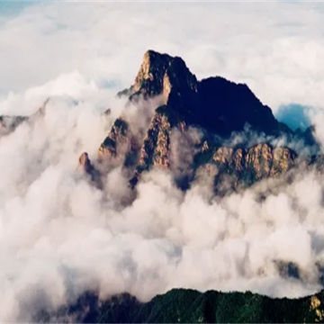 徒步爬泰山景区观日出一日游【多地出发，仅含往返车费】