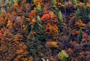 【2-8人亚星奔驰保姆车】九寨沟+达古冰川+毕棚沟+四姑娘山【1、达古冰川旅拍三张精修+集体航拍视频+摄影公开课+底片全送】