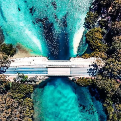 【专车12小时】悉尼杰维斯湾白沙滩+追海豚+邂逅袋鼠一日游