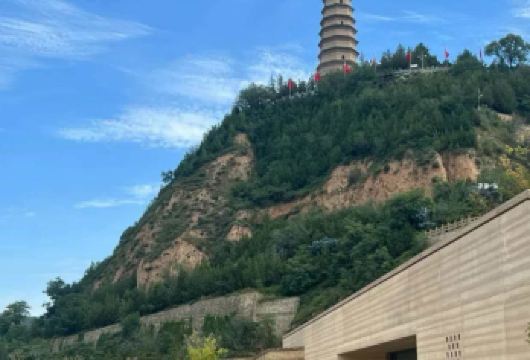 【包车游】宝塔山+红秀延安+革命纪念馆+杨家岭市区包车一日活动【延安本地小伙 专业向导带队】