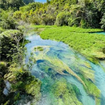 奥克兰包车一日游：蓝泉+地热公园+胡卡瀑布+陶波湖【不含票】