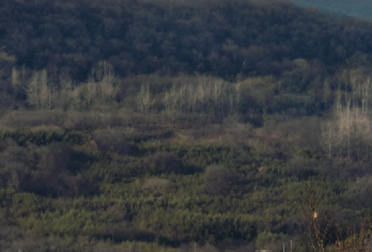 铁山寺国家森林公园清晨一日游【邂逅冬季清晨天泉湖雾景】