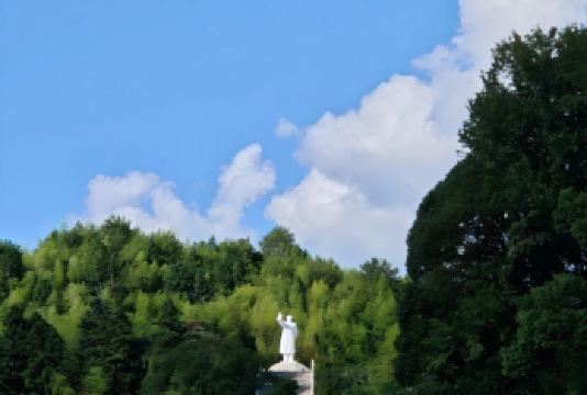 龙岩出发打卡古田会议会址+梅花山+华南虎园包车一日活动【专车无缝衔接，上午接受革命历史教育，下午探访珍稀华南虎，行程充实而富有层次】