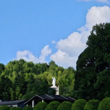 龙岩出发打卡古田会议会址+梅花山+华南虎园包车一日活动