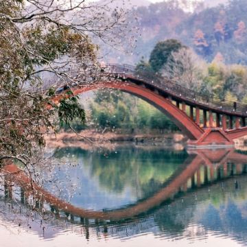 龙川风景区+徽杭古道+千年仁里包车游【宣城出发】