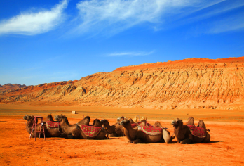吐鲁番葡萄沟+坎儿井+交河故城+火焰山景区【吐鲁番全景一日游【动车往返，更舒适，单程比汽车缩短2小时；】