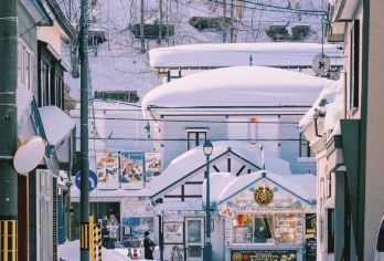 日本小樽出发打卡网红景点/可札幌登别富良野北海道多日包车精选【包车一日游，解锁旅行新方式！独立车辆配备经验丰富的老司机，为您量身打造专属行程。】
