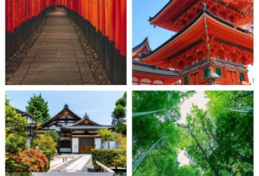 日本京都往返奈良.奈良公园.若草山.春日大社-红叶巡礼红叶季【专业行程定制，精选热门景点，高效游玩不走回头路，贴心服务保障，轻松】