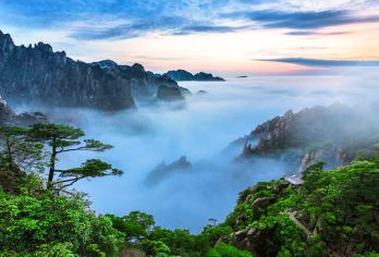 黄山风景区一日游【金牌导游讲解陪爬■市区接送■纯玩】【[精致纯玩]导游陪同上山，大IP一个不少，不走回头路！不进任何购物店，把时间留在景区！】