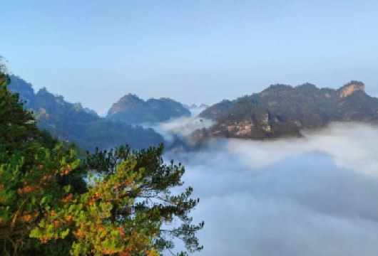 齐云山+呈坎私家团一日游【指隐者文化精讲+呈坎夜游】【[品质优选]全程导游陪同，全程优选专车专导专属服务，独立成团，行程张弛有度。】