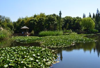上海耀雪冰雪世界+中国航海博物馆+上海滨海森林公园一日游【踏过冰雪的浪漫，感受自然的气息】