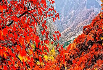 药王谷至坡峰岭徒步路线穿越-10公里非休闲【纯玩无购物】