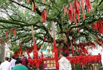 江西鹰潭方特东方神画+圣井山+上清古镇包车一日游可英文服务【可提供英文及小语种导游服务-往返接送-可选导游-可代订门票】