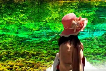 九寨沟一日游【私家团|1单1团|真纯玩直通车|景区自由行】【[精选产品]真纯玩0购物+私家团：1单1团不拼团其他游客】