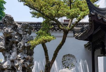 苏州拙政园+狮子林+平江路+木渎古镇包车一日游可英文服务【提供多语种服务、全程专车接送、热门景点门票代订一站式旅行服务】